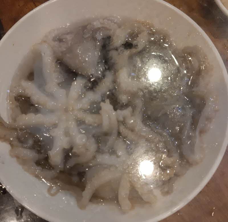 460ca1fd315c0191a1368ffaba62caa3_1587018000_3624.jpg