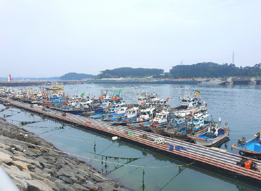 fa1dd9b575dc15c11d3cded8c9d672eb_1601260226_1376.jpg